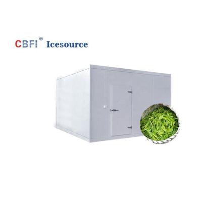 China Container specialized cold storage for vegetable automatic cold storage for potato for factory for sale