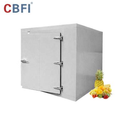 China Hot Sale Container Ammonia Container Cold Storage Room With Onion Freezer Room Good Quality for sale