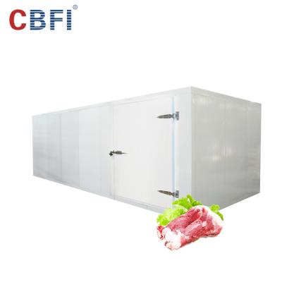 China Commercial Container Cold Room For Meat Freezer Room Factory Price for sale