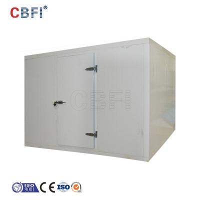 China Container Competitive Price Container Cold Rooms Freezer Room For Sale for sale