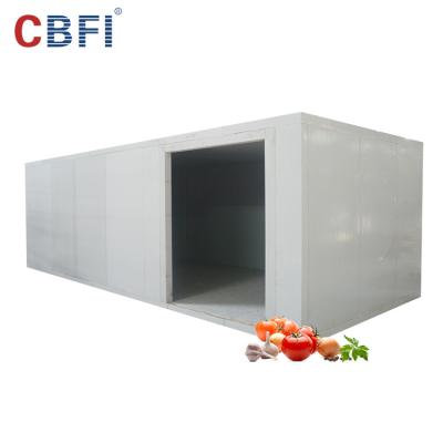 China Container Small Container Cold Room /container Cold Storage For Vegetable, Fruit, Meat And Seafood for sale