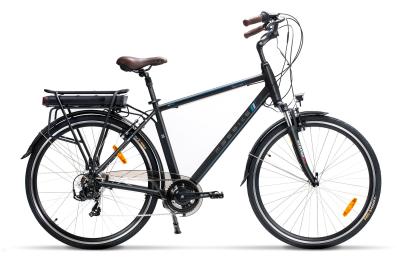 China Male  Electric assisted best bike 700C