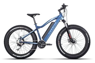 China Fat Electric assisted bike Snow electric bike 26