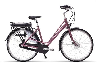 China Top grade city electric bicycle for lady,bafang motor 36V 250W,Shimano Rollerbrake,36V13AH LG Cells for sale