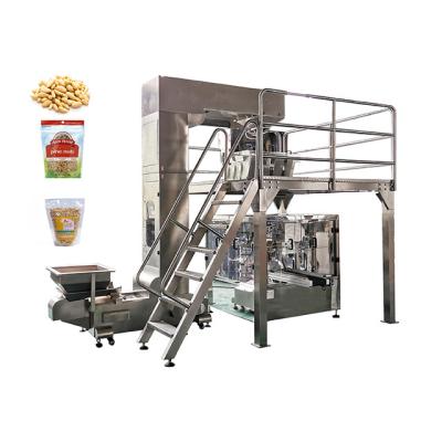 China Rotary Premade Food Stand Up Zipper Pocket Sprockets Packaging Machine With Multi Head Combination Scale for sale