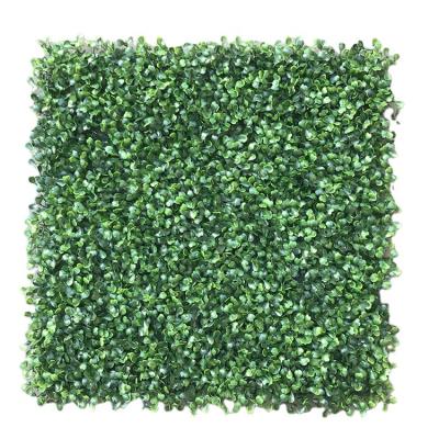 China All Artificial Dark Green UV Plants Decoration Plant Wall Hedge Festivals Boxwood Milan Artificial Lawn for sale