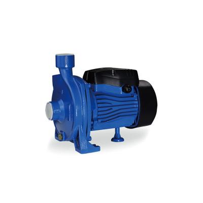 China 2022 Hot Sale Custom Centrifugal Pumps High Flow Cast Iron Multi-height Economical Centrifugal Pumps for sale