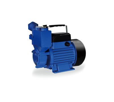 China Food and Beverage Industry Wanou 1WZB-Self-priming Single Phase Two Pole Water Pump for Clean Water for sale