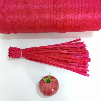 China PP new materials Professional Manufacture Plastic Bag Small Kitchen Garlic Ginger Mesh Storage Bags for sale