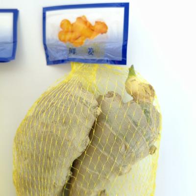 China PP new material cheap and high quality PP plastic mesh bag for ginger for supermarket packaging supplies for sale