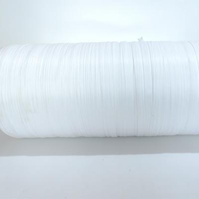 China PE new material pe roll plastic mesh bag for packing garlic for sale