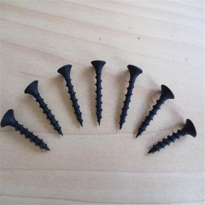 China Supply Drywall Screws / Gysum Board Screws All Size for sale