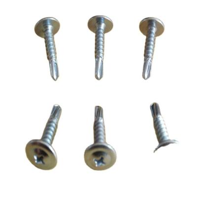 China Truss Main Truss Self-Drilling Main Screw for sale