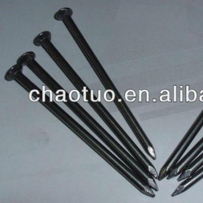 China Iron Supply Carpenter Nails/Wood Nails/Common Nails for sale