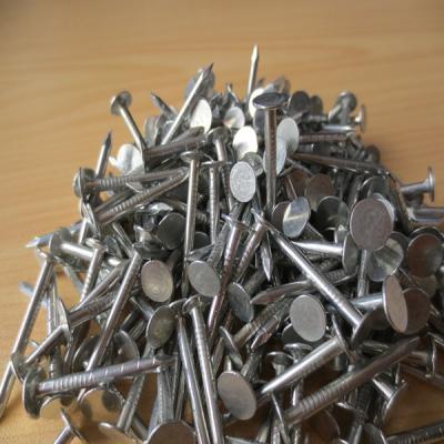 China Iron roofing nail /clout nails for sale