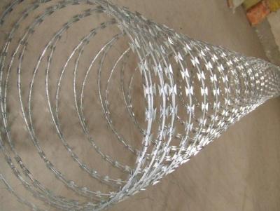 China Galvanized Concertina Razor Wire/Razor Wire Fencing for sale