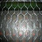 China Stainless Steel Hexagonal Wire Netting/Poultry Netting for sale