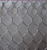 China Chicken Wire Mesh/Hexagonal Wire Netting/Hexagonal Wire Mesh for sale