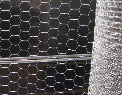 China Hot Dipped Galvanized After Waeving Hexagonal Wire Mesh for sale