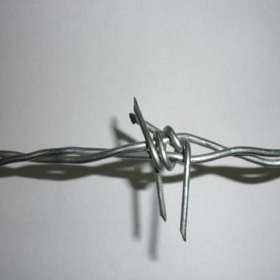 China Double Twisted Barbed Wire/Galvanized Barbed Wire for sale