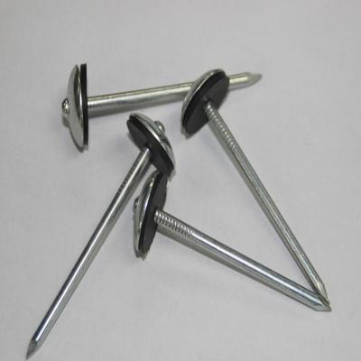 China Galvanized Roofing Nails From Dingzhou Jinguan for sale