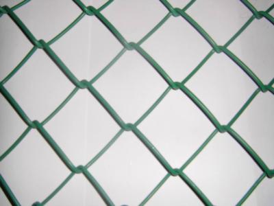 China Chain Link Fence/Diamond Hole Wire Mesh/Protecting Wire Mesh for sale