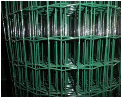 China Holland Wire Mesh/Euro Fence/Holland Wire Mesh Fence for sale