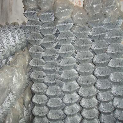 China Chain Link Wire Mesh Fencing/Fence Netting for sale