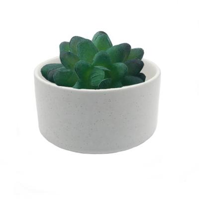 China Large Modern White Glazed Ceramic Bowl Succulent Planters Pots With Spots for sale