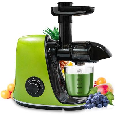 China Reverse Function Juicer Extractor Slow Masticating Two Speed ​​Adjustment Easy To Clean Quiet Motor Cold Press Juicer for sale