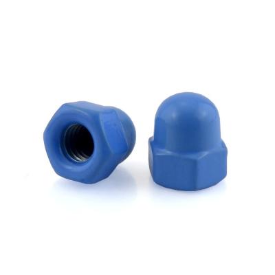 China Custom Blue Color Decorative Cap Nut with Passivated Finish Grade 6.8/ 8.8/ 10.9/ 12.9 for sale