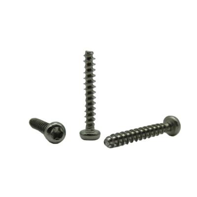 China Pan Head Torx 304 Stainless Steel PT Self Tapping Screw PB3*20 customized for sale