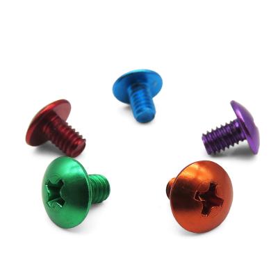 China Plastic Umbrella Head Screw Phillips Anodized Aluminum Special Screw for sale