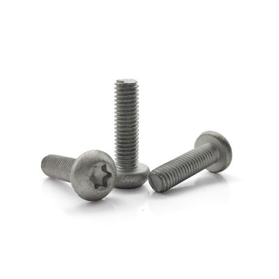 Cina ROHS Certified M5-M12 Dacromet Grey Pan Head Screw – Torx T30 Drive for Heavy-Duty Applications in vendita