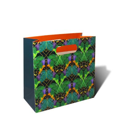 China Biodegradable High Quality Custom Die Cut Paper Bag Luxury Shopping Bags for sale