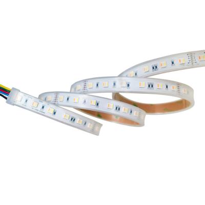 China LANDSCAPE Rgbww Five Color 5 Chips In One 60 LED Strip Colorful Changing Flexible Strip Light for sale