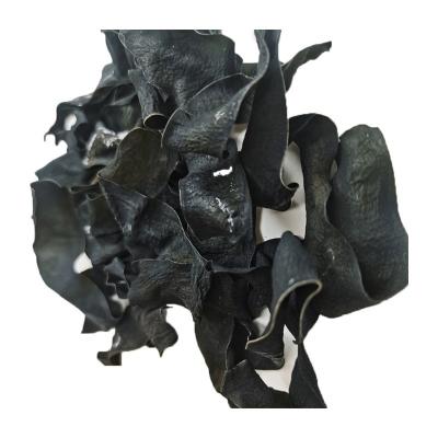 China Dry hot salted kombu dried seaweed kombu kelp sheets for sale for sale