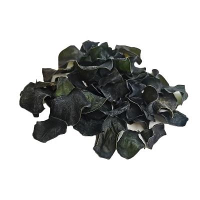 China New Next Dry Sun Dried Slice of Kelp Laminaria Seaweed Salad Kelp for sale