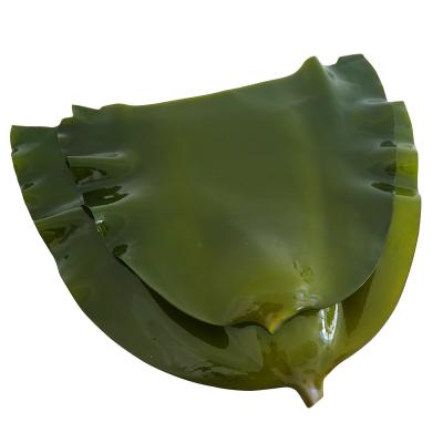 China Best Dry Selling Chinese Factory Supply Laminaria Head Kelp Seaweed Head for sale