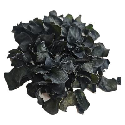 China NEW dried konbu seaweed price well on sales for sale