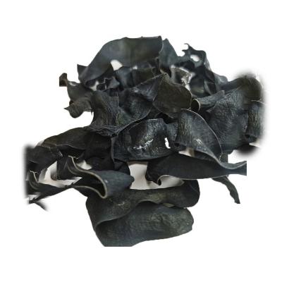 China Wholesale Natural Salted Kombu Dried Dried Hot Sale Organic Dehydrated Wakame Seaweed Seaweed For Sale for sale