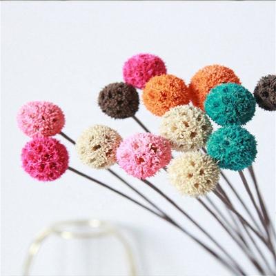 China Real Factories Wholesale Home Decoration Layout Photography Long Stem Flower Preserved Handmade Dried Flowers for sale