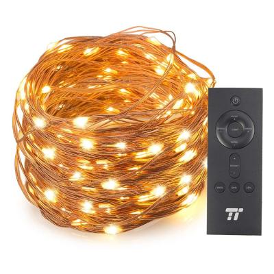 China 2021 Modern New Design Fairy Christmas Decoration Led String Light With RF Remote Control for sale