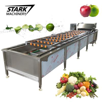 China Easy Operation Stainless Steel Food Grade 304 Vegetable Washing Machine Fruit Washing Machine Manufacture for sale