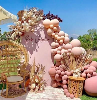 China Latex Rosewood Apricot Colors Balloon Arch Garland Kit for Birthday Wedding Garden Windows Windows Bridal Shower Party Decoration for sale