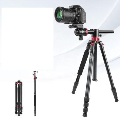 China Q228 Digital Camera High Quality Tripod Professional 79-Inch/200CM Dslr Flexible Camera Tripod for sale