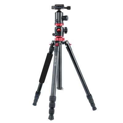 China Portable Monopod Professional Extendable Travel Video Digital Camera 201CM/79