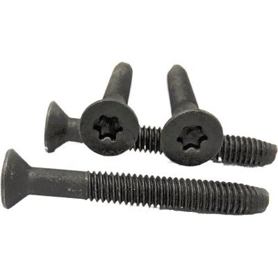 China Matte Black Phosphate Flat Head Flooring Panel Torx Screws for sale