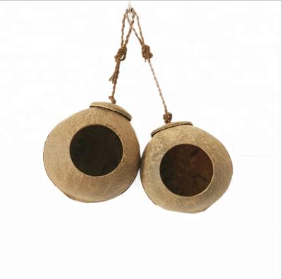 China Eco Friendly 100% Natural Sustainable Shell Bird's Nest With Small Moq for sale