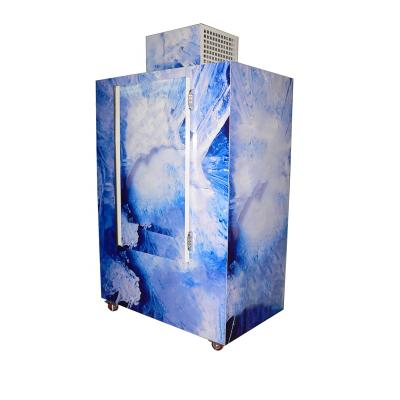 China Outdoor Ice Merchandiser Outdoor Ice Merchandiser Ice Merchandiser For Bagged Ice Storage Solid Door 660*1120mm Hold 100 Bags 3KG Ice Bag DC 220V/110V for sale